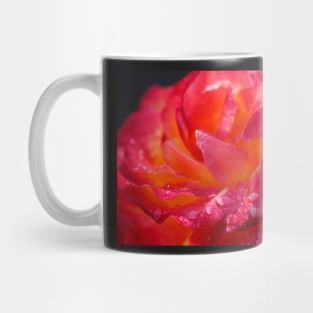 Red Hybrid Tea, Rose, Dewdrops, Flower Mug